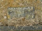 image of grave number 737494